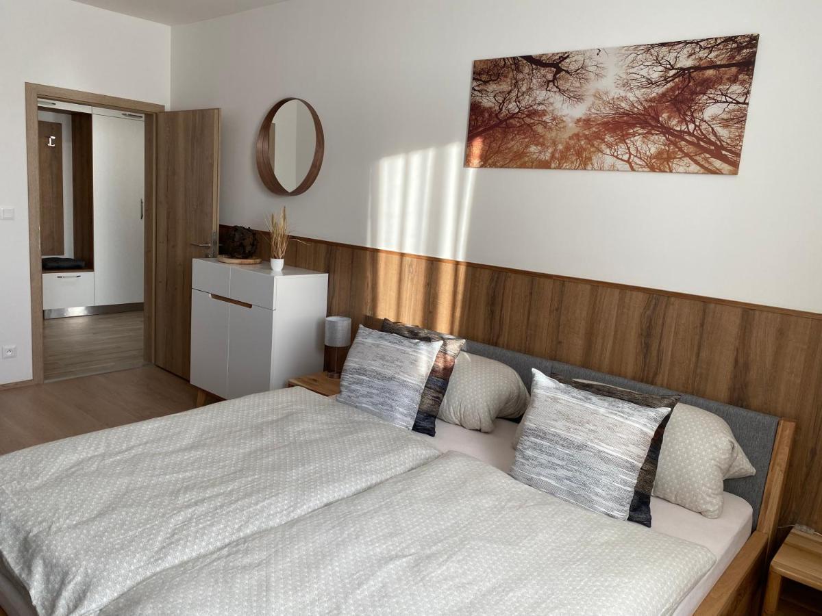Apartment Petra Klinovec Loučná pod Klínovcem Dış mekan fotoğraf